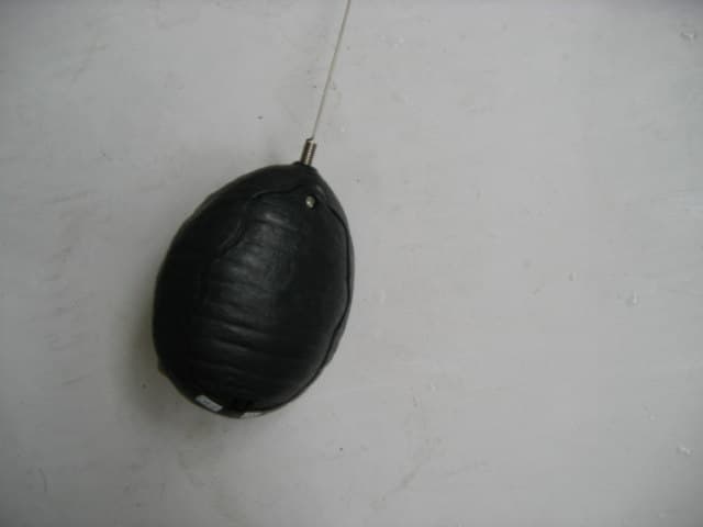 RC Tarantula 2027# / 7098# - FCC ID N9B2027UMI2006 - Silver Manufactory Holdings Company Limited (1)