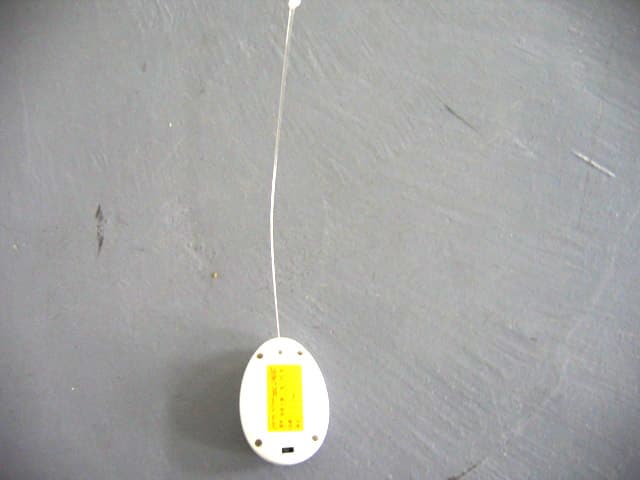 Banana Boa RC Snake - FCC ID N9B2035UMI2006 - Silver Manufactory Holdings Company Limited