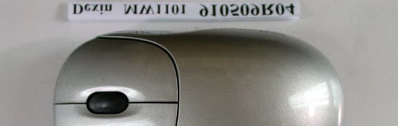 Wireless Mouse - FCC ID NIYMW1101 - Dexin Corp (4)