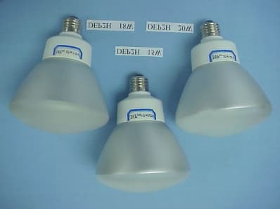 Electronic Energy Saving Lamp - FCC ID NOG6G09 - Ningbo Ledeshi Electrical Equipment Co Ltd (3)