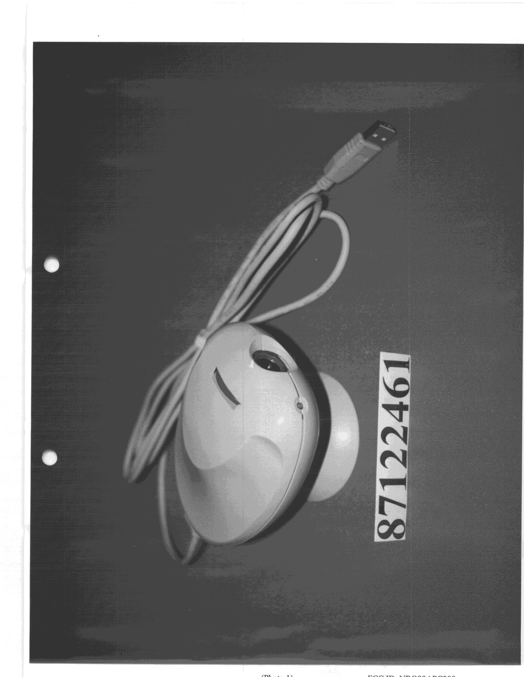 JBP - Part 15 Class B Computing Device Peripheral - FCC ID NRQ99APC300 - Aiptek International Inc (2)