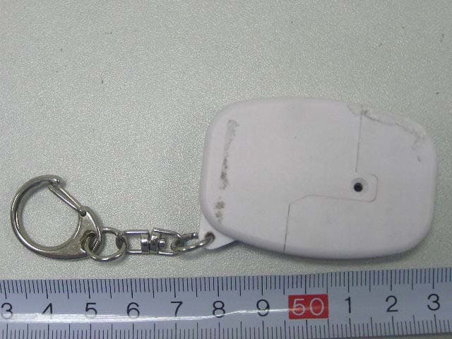 Wireless Remote Control - FCC ID NS3LELUX300R - Lelux Electronics Ltd (1)
