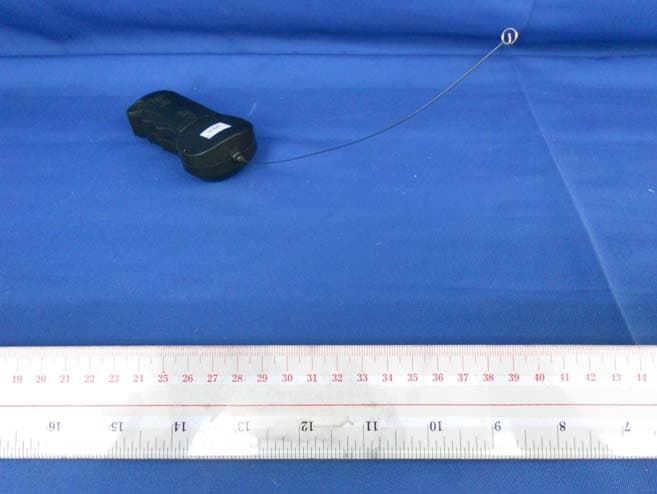 2 Pack Radio Control Car - FCC ID NS6-95598TX-49 - Manley Toys Ltd (2)