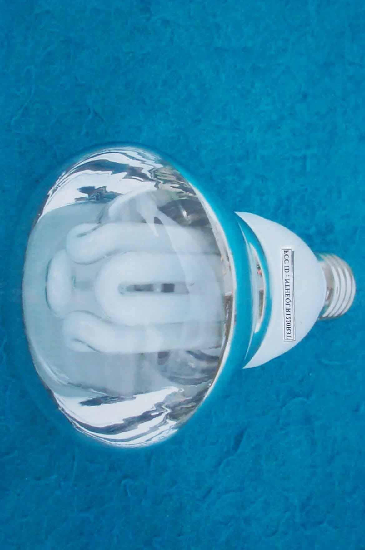 Self-Ballasted Lamp - FCC ID NTHEQUR1220R3T - Jung Woo International Inc (2)