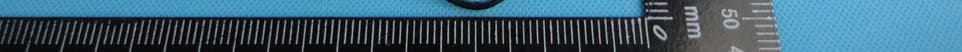 Bluetooth Speaker - FCC ID NZGCY-902 - ZHONGSHAN HITREND TECHNOLOGY CO., LTD (3)