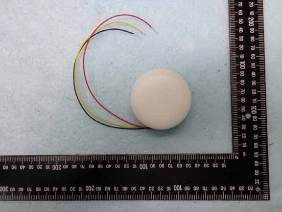 LED Module - FCC ID O3M440400942161X1 - Philips (China) Investment Co.,Ltd. (2)