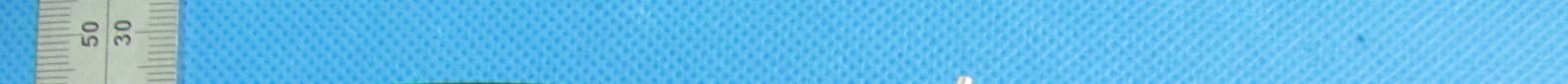 Mobile Phone - FCC ID O55COMPASS - SWAGTEK (3)