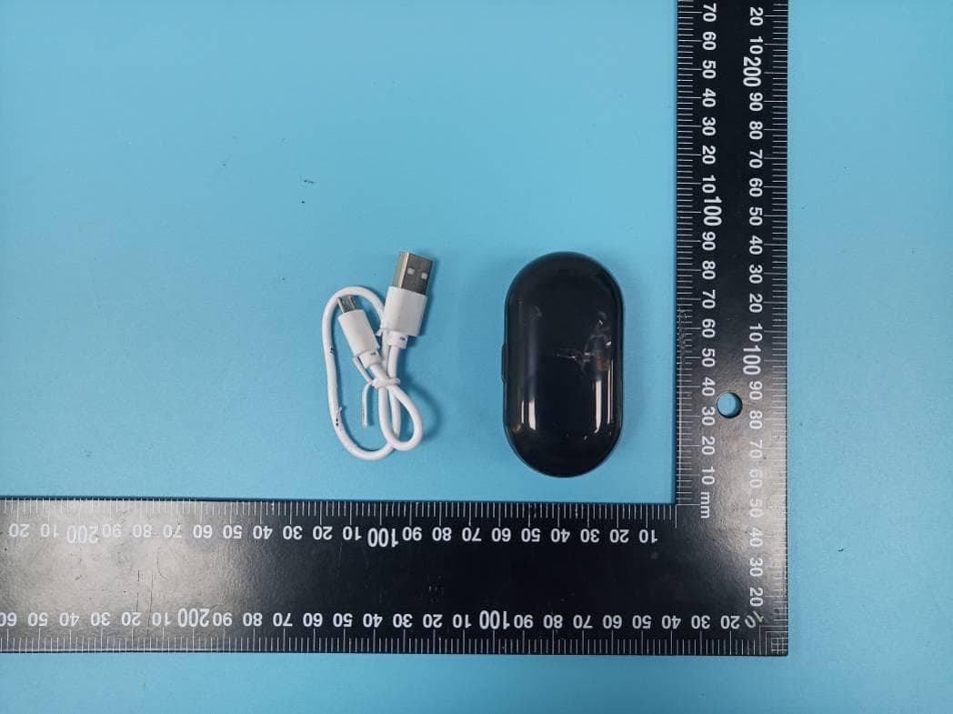 True Wireless Earphone - FCC ID O55TW4819 - SWAGTEK (3)