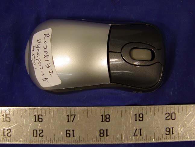 Cordless Mouse - FCC ID P4XH5001 - Dyna Point (Dong Guan) Electronic (3)