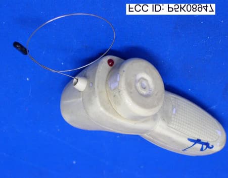 RC Car - FCC ID P5K08947 - Toy Island Manufacturing Co., Ltd. (1)