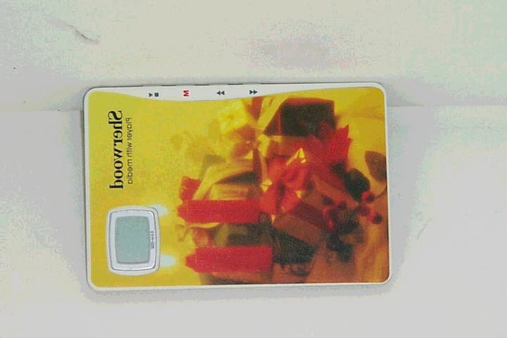 MP3 Player - FCC ID P87-ETR0001 - INKEL Corporation