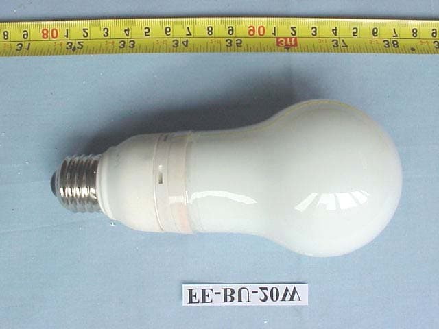 Energy Saving Lamp - FCC ID PKCLS0301 - Xiamen Longstar Lighting Co., Ltd.