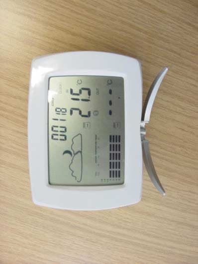 Weather Station Receiver - FCC ID PLJWS295 - Mandolyn Electronic Technology Inc. (2)