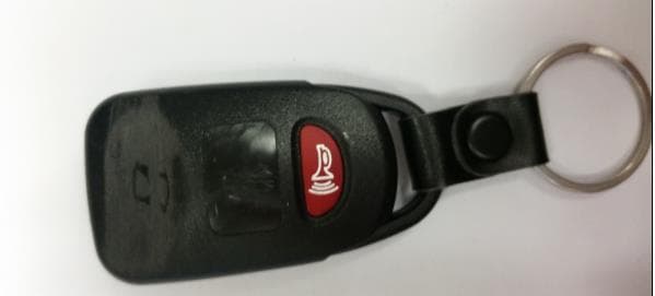 313.8 MHz Keyfob Transmitter - FCC ID PQTDORM13 - Dorman Products, Inc. (2)
