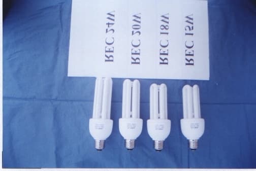 Electronic Energy Saving Lamp - FCC ID PRUNBGRE18BG - Ningbo Global Lamp Co., Ltd.