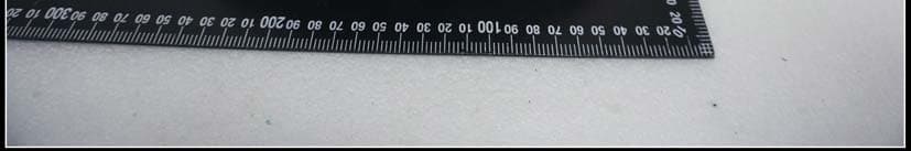 Waterproof Bluetooth Speaker - FCC ID PZMBW-301 - Elite Century Technology Ltd. (3)