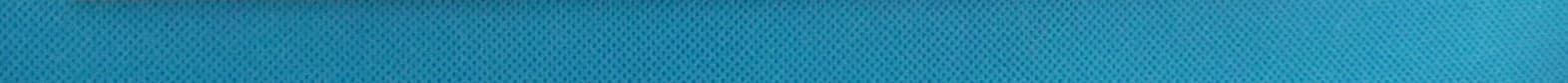 Mobile Phone - FCC ID Q2YFIESTA - p.Lachman (HK) ltd (5)