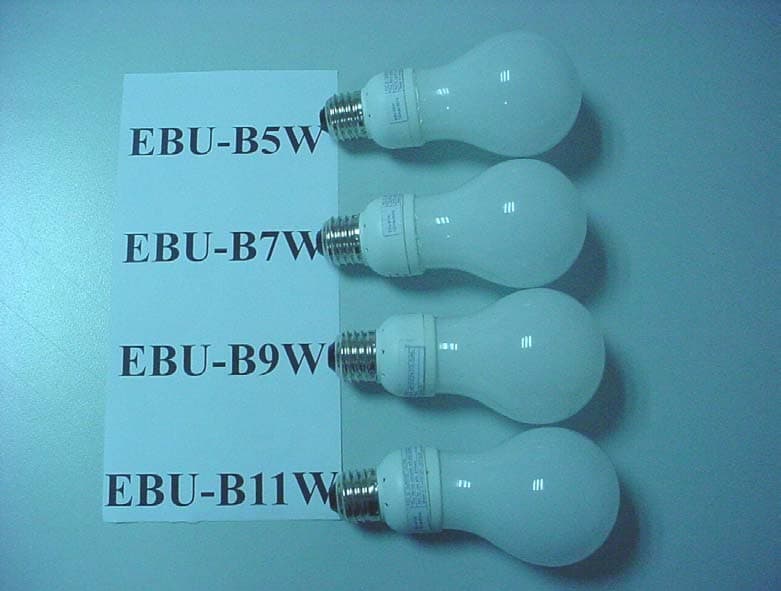 Energy Saving Lamp - FCC ID QJKEBETUS0308 - Everbright Lighting Limited (4)