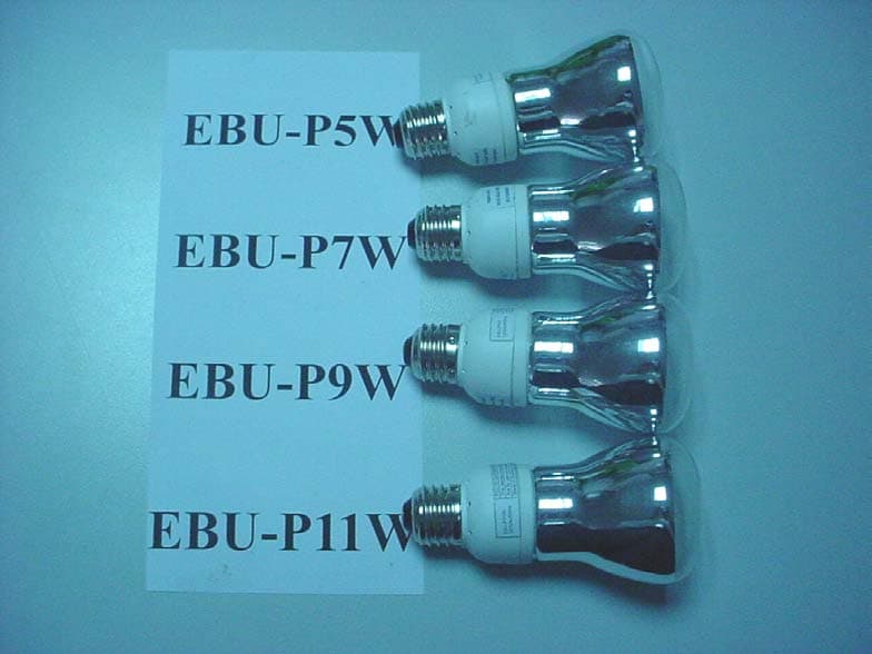 Energy Saving Lamp - FCC ID QJKEBETUS0308 - Everbright Lighting Limited (2)