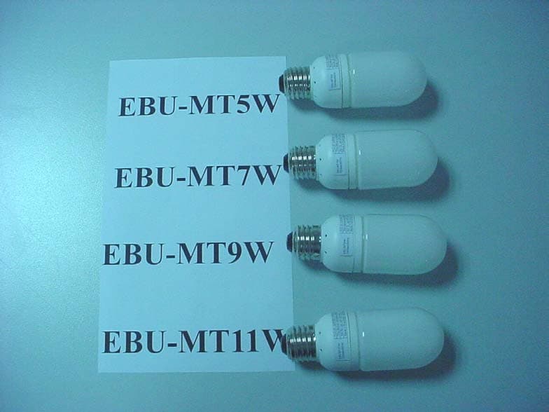 Energy Saving Lamp - FCC ID QJKEBETUS0308 - Everbright Lighting Limited (5)