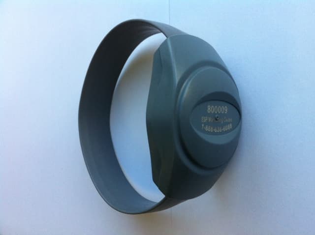 Personal Identity Device - FCC ID QYM-PID3X - Serco Geografix Limited