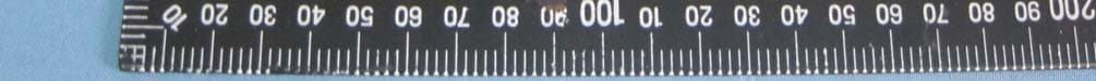 UMTS Quadband / GSM Quadband mobile phone - FCC ID RAD481 - TCT Mobile Limited (4)
