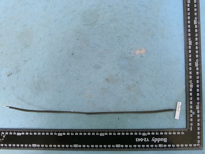 HEOS 6.5 Platform Module - FCC ID RAXAIOS65V - Arcadyan Technology Corporation (2)