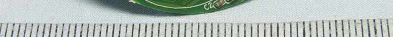 RF Wrist Strap Remote Control - FCC ID RD2RW5K8001 - DXG Technology Corp.