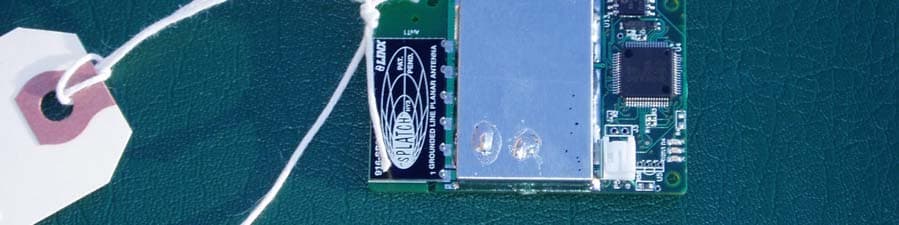 Networking Transceiver Module - FCC ID RNB-OEM100 - Sensicast Systems, Inc. (2)