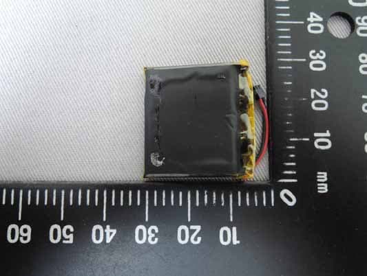 TomTom GPS Watch - FCC ID S4L4REM - TomTom International BV (2)