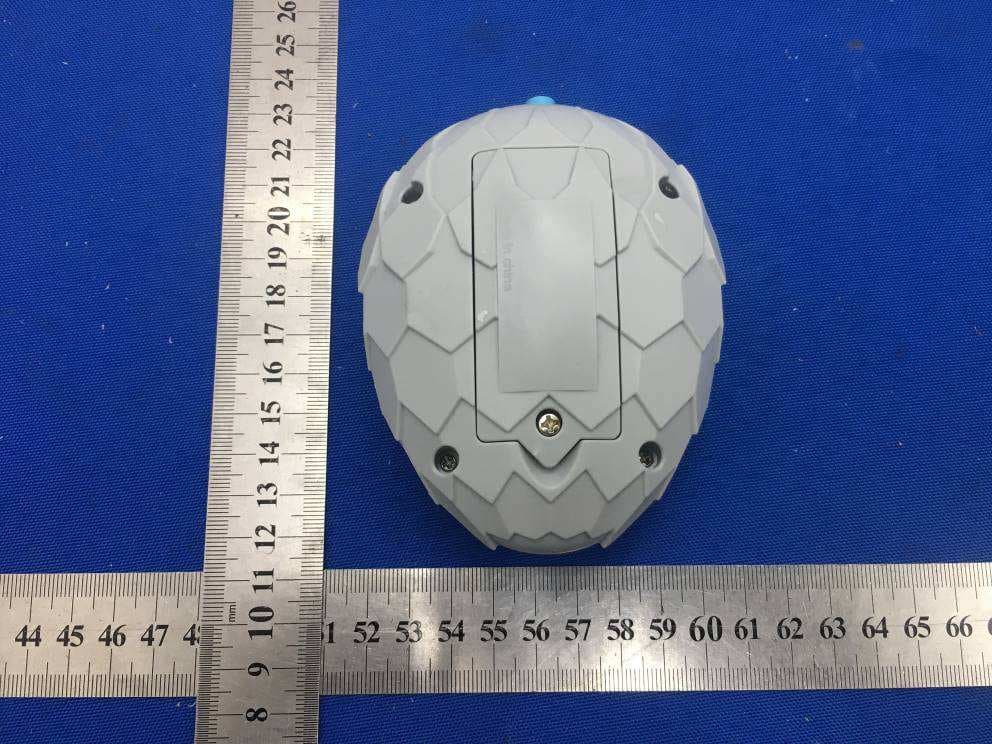 Toy RC Ice Griffon - FCC ID S53RC2021A2GT - RUICHENG PLASTIC TOYS INDUSTRY CO., LTD (2)