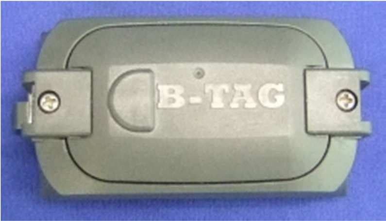 Tire Pressure Monitoring System - FCC ID SBDB812 - Bridgestone Corporation