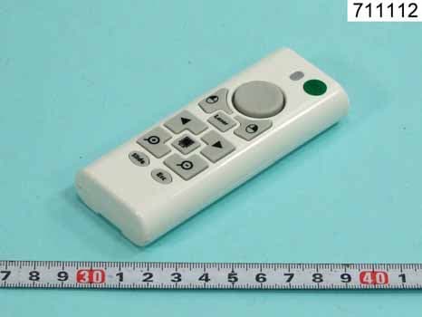 WIRELESS ZOOM PRESENTER - FCC ID SH6ZP1000 - Raytac Corp. (3)