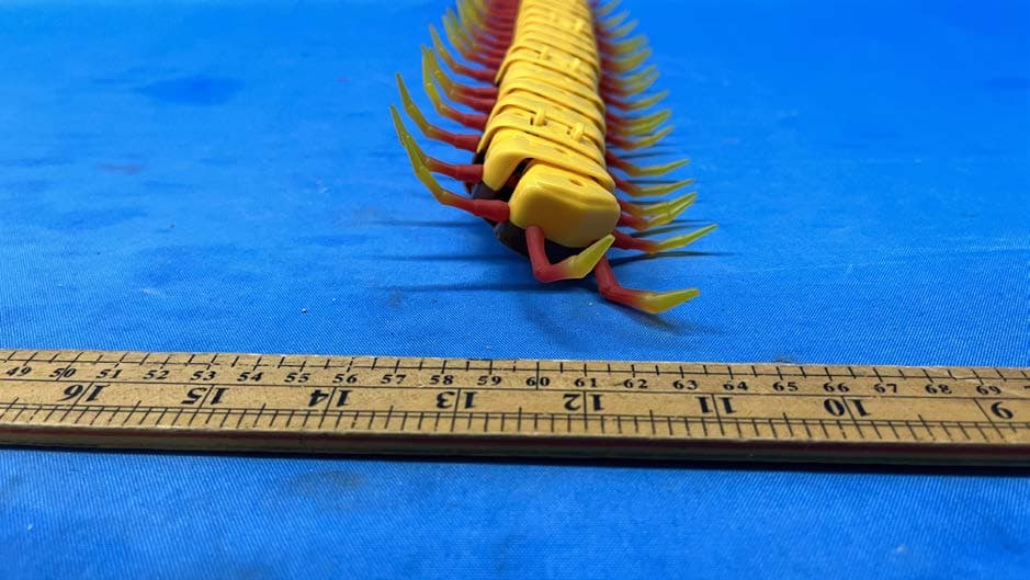 RC Centipede  Giant Scolopendra - FCC ID SLU21E24R07 - Maison Battat Inc.