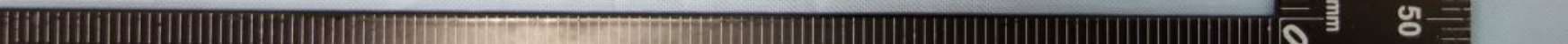 Eve Cam - FCC ID SNE-IDC-001 - Eve Systems LLC (3)