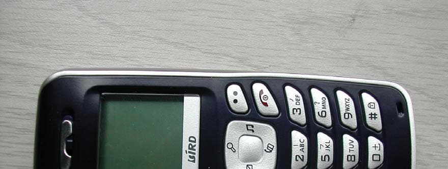 Dual Band GSM Mobile Phone - FCC ID SNMS198P - Ningbo Bird Co., Ltd
