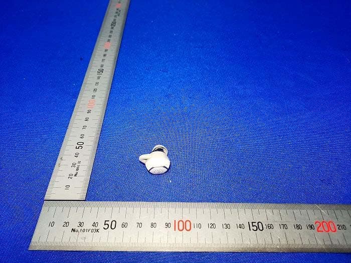 TRUE WIRELESS EARBUDS - FCC ID SOP422201A - Roland Corporation (2)