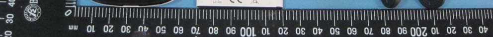WCDMA/GSM(GPRS) Dual-Mode Digital Mobile Phone - FCC ID SRQ-OPENII - ZTE Corporation (2)