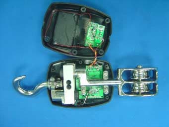 DEER SCALE - FCC ID SS5DDS330 - MSI Sensors (ASIA) Ltd. (5)