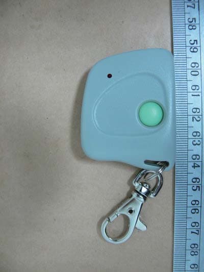 Remote Controller - FCC ID SU7FFII300MCD21K - Controlled Entry Distributors, Inc. (1)