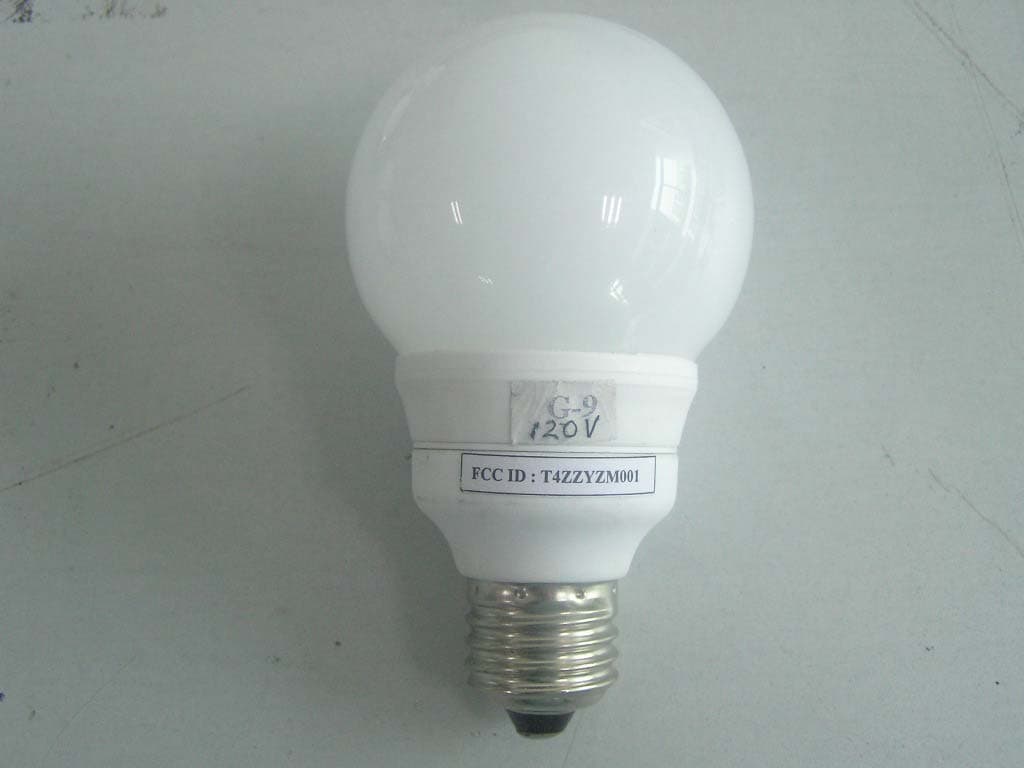 CFL - FCC ID T4ZZYZM001 - Exald Corporation (4)
