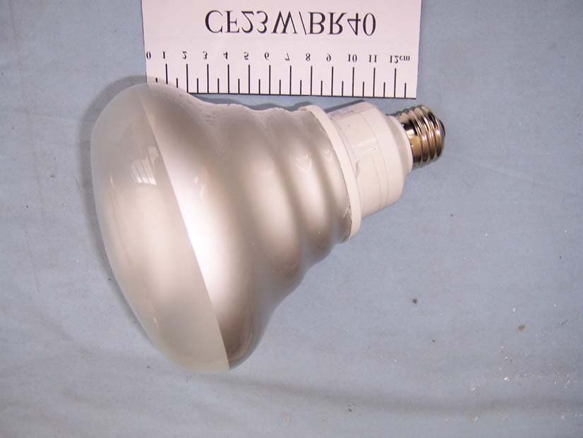 Compact Fluorescent Lamp - FCC ID T5DCFL1 - Raywa Lighting & Electrical Corporation (4)