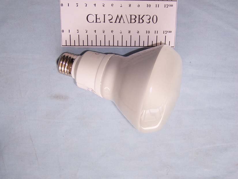 Compact Fluorescent Lamp - FCC ID T5DCFL1 - Raywa Lighting & Electrical Corporation (5)