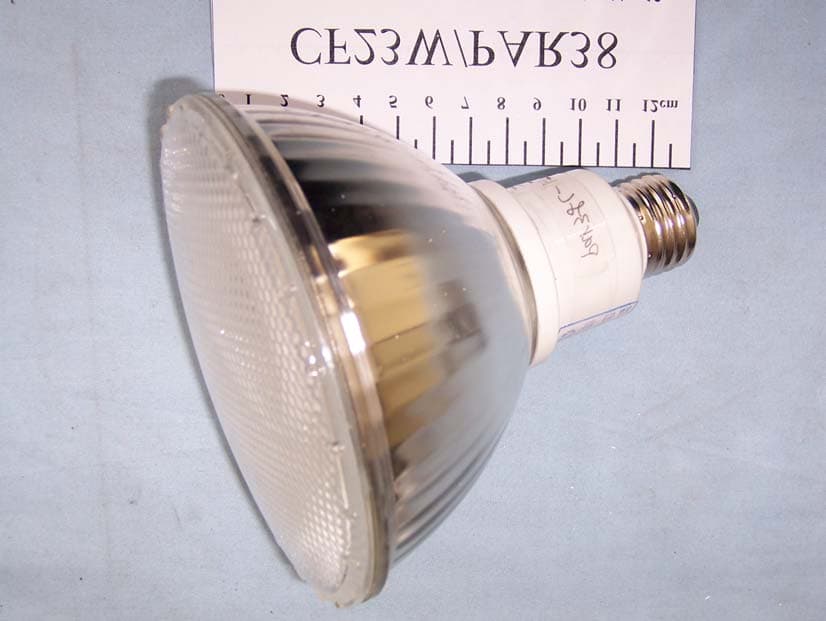 Compact Fluorescent Lamp - FCC ID T5DCFL1 - Raywa Lighting & Electrical Corporation