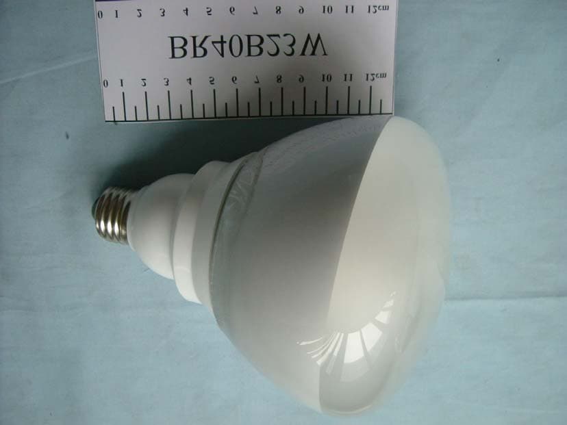 SELF-BALLASTED LAMP - FCC ID T6P93079 - Shanghai Chuan-Shi Technical Co., Ltd. (3)