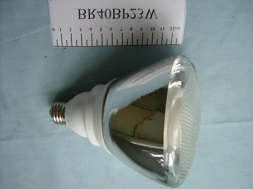 SELF-BALLASTED LAMP - FCC ID T6P93079 - Shanghai Chuan-Shi Technical Co., Ltd. (1)