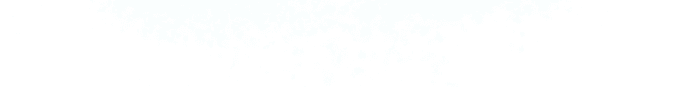 IP Camera - FCC ID TNU-EQN2201-W - EverFocus Electronics Corp. (2)
