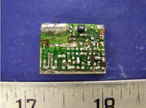 2.4GHz Wireless Camera - FCC ID TW4-809T - Shenzhen AEE Wireless Technology Co., Ltd.