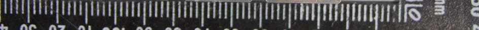 Wireless relay switch - FCC ID U2ZZW3005 - Sheenway Asia Ltd.