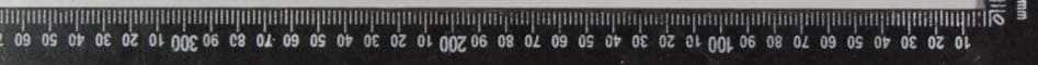 Wireless relay - FCC ID U2ZZW4004 - Sheenway Asia Ltd. (2)